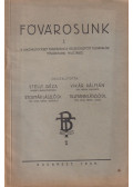 Stelly Géza,Dr. Stolmár László,Dr. Tillmann István,Vikár Kálmán - Fővárosunk I.