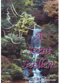 Andrew Wommack - A Szent Szellem