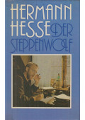 Hermann Hesse - Der Steppenwolf