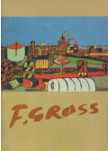 Jiří Valoch - F. Gross