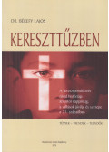 Békefy Lajos - Kereszttűzben