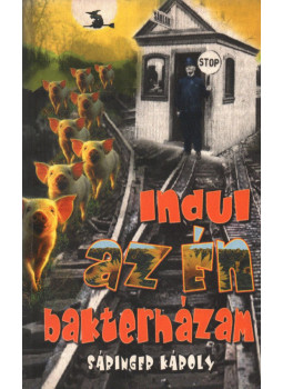 Sáringer Károly - Indul az én bakterházam Sáringer Károly - Indul az én bakterházam, Gyöngyös 2004 antikvár könyv