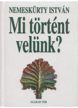 Nemeskürty István - Mi történt velünk? Nemeskürty István - Mi történt velünk?, Budapest 2002 antikvár könyv