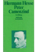 Hermann Hesse - Peter Camenzind