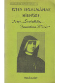 Berecz Sándor - Isten irgalmának hírnöke