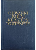 Papini, Giovanni - Krisztus története