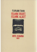 Flórián Tibor - Felhők fölött, felhők alatt