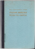 Cholnoky Jenő Dr. - Utazásom Amerikában Teleki Pál gróffal