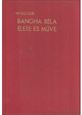 Nyisztor Zoltán - Bangha Béla élete és műve