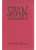 Németh Zsuzsa - Szívedé egészen