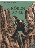 Tiszaörsi Nagy Zoltán - Kőben az ék (dedikált)
