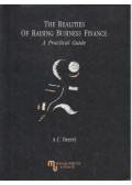 A. C. Beerel - The Realities of Raising Business Finance