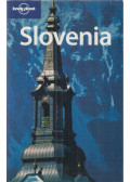 Steve Fallon - Slovenia