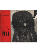 Ócsag Imre - A puli