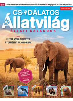 - Füles Bookazine: Csodálatos Állatvilág - Füles Bookazine: Csodálatos Állatvilág, null 2024 antikvár könyv