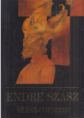Szász Endre - Szász-ország