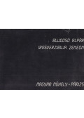 Bujdosó Alpár - Irreverzibilia zeneon (dedikált)
