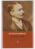 Felföldi Szabolcs - Stein Aurél