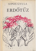 Sipos Gyula - Erdőtűz