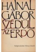 Hajnal Gábor - Szédül az erdő