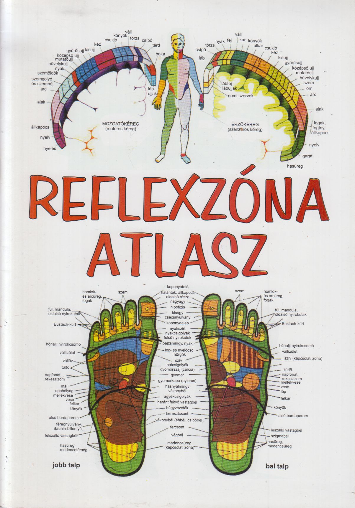 Temesvári Gabriella - Reflexzóna atlasz