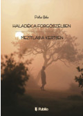 Pállai Béla - Haladék a forgószélben