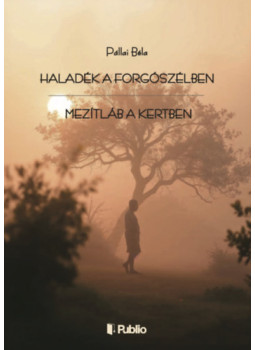 Pállai Béla - Haladék a forgószélben Pállai Béla - Haladék a forgószélben, null 2026 antikvár könyv