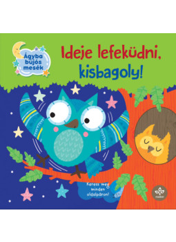 Olivier Dupin - Ideje lefeküdni, kisbagoly! Olivier Dupin - Ideje lefeküdni, kisbagoly!, null 2026 antikvár könyv