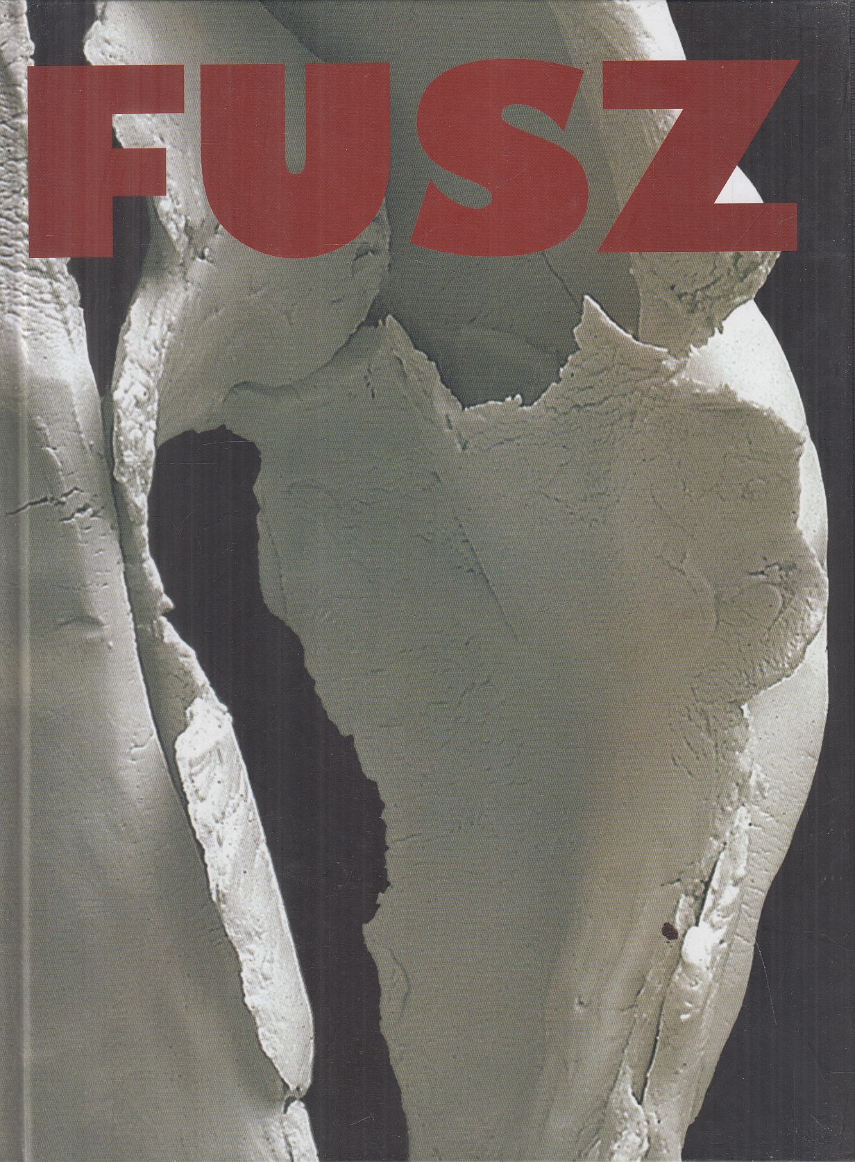 Aknai Tamás, Fusz György - Fusz (aláírt) Aknai Tamás, Fusz György - Fusz (aláírt), Szekszárd Ismeretlen antikvár könyv