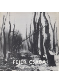 Pogány Gábor - Fejér Csaba festőművész