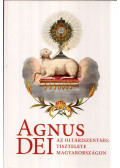 Rákossy Anna,Kontsek Ildikó - Agnus Dei