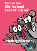 Bosnyák Viktória, Hevérné Kanyó Andrea - Két bolond százat csinál - Feladatgyűjtemény Bosnyák  Viktória regényéhez
