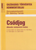 Boóc Ádám,Sándor István,Tóth Mihály,Török Gábor,Újlaki Tamás - Csődjog