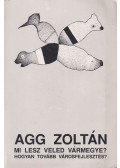 Agg Zoltán - Mi lesz veled vármegye?