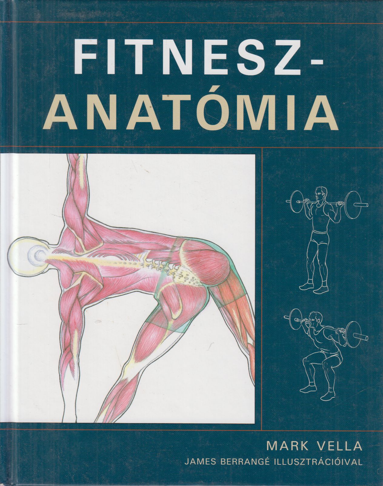 Mark Vella - Fitneszanatómia