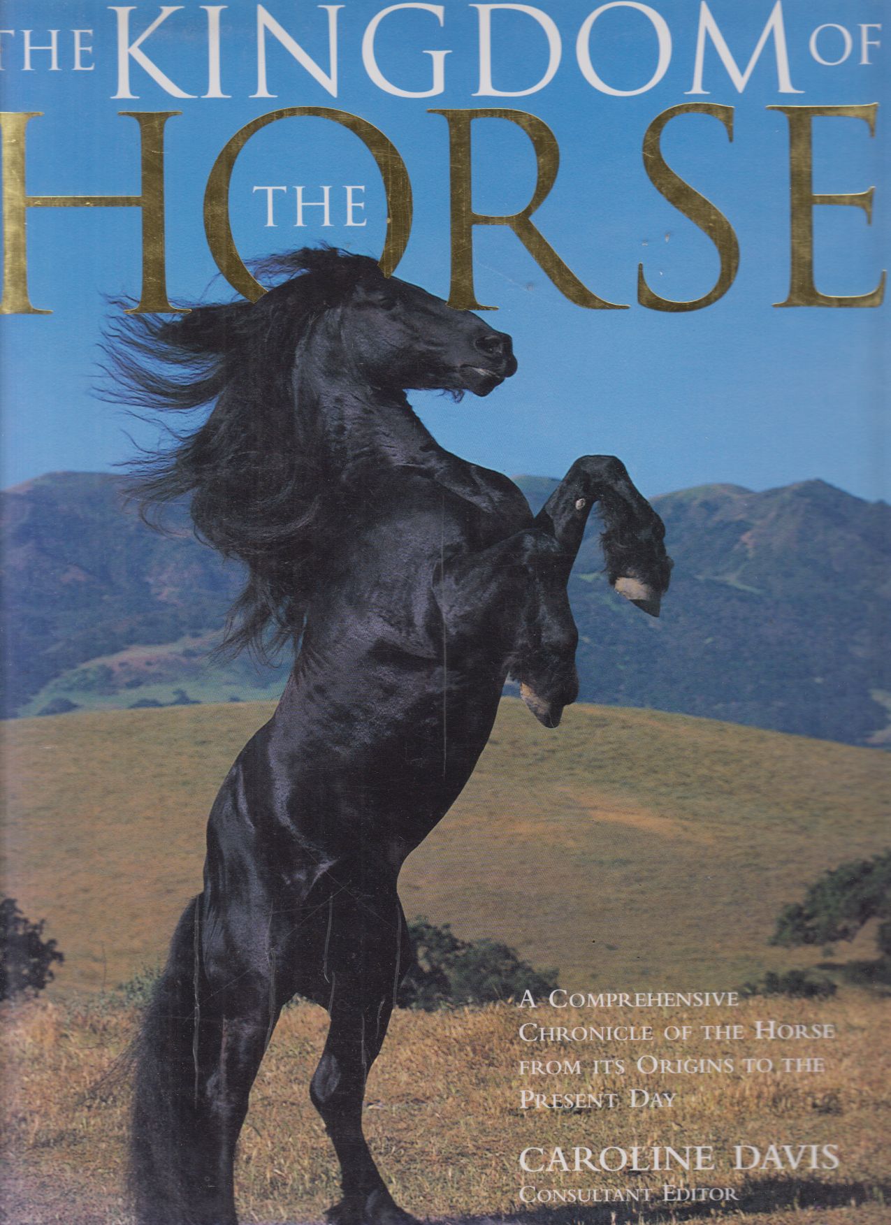 Caroline Davis - Kingdom of the Horse