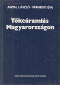 Antal László,Várhegyi Éva - Tőkeáramlás Magyarországon