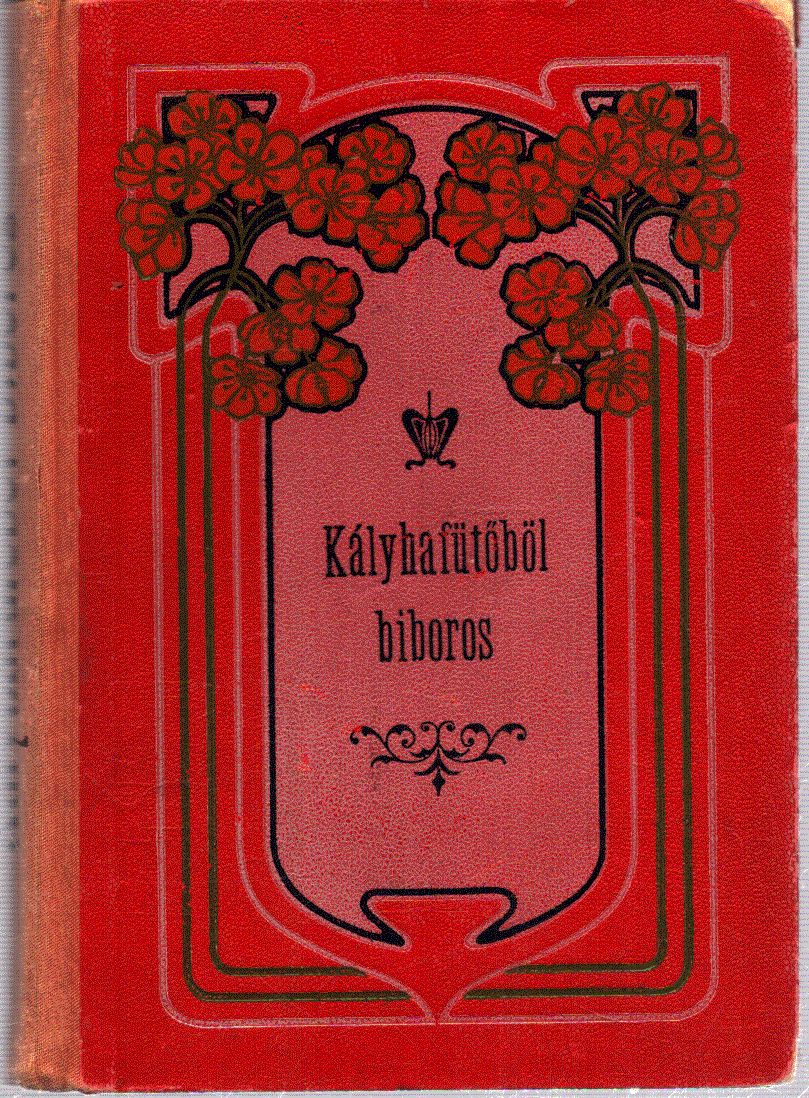Barna Jónás - Kályhafűtőből Bíboros