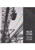 Dallos István - Csillék az égen