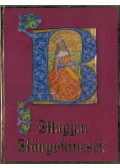 Buda Attila,Monok István - A magyar bibliofília képeskönyve