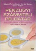 Balázsiné Farkas Katalin,Havass Norbert,Kardos Barbara - Pénzügyi számviteli példatár