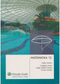 Czeglédy István,Hajdu Sándor,Hajdu Sándor Zoltán,Kovács András - Matematika 12.