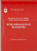 Botos Katalin,Bittsánszky Géza,Ivicz Mihály,Schlett András - Közgazdaságtani bevezetés