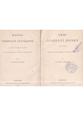 Széchy Károly - Gróf Gvadányi József