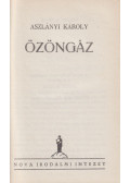 Aszlányi Károly - Özöngáz