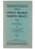 Gyóni Áchim Géza - Lengyel mezőkön, tábortűz mellett