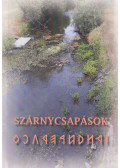 Z. Urbán Aladár - Szárnycsapások