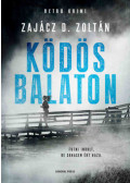 Zajácz D. Zoltán - Ködös Balaton