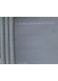 Dr. Kiss Ferenc,Dr. Szentágothai János - Az ember anatómiájának atlasza I-III.