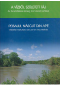 Rakonczai János - A vízből született táj / Peisajul nascut din ape